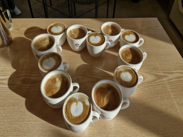 �ٸ���Ÿ �ڰ�����